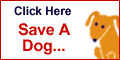 iGive.com 120x60