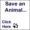 Support Animal Adoption League through iGive