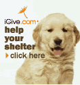 iGive.com