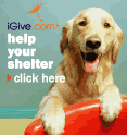 iGive.com